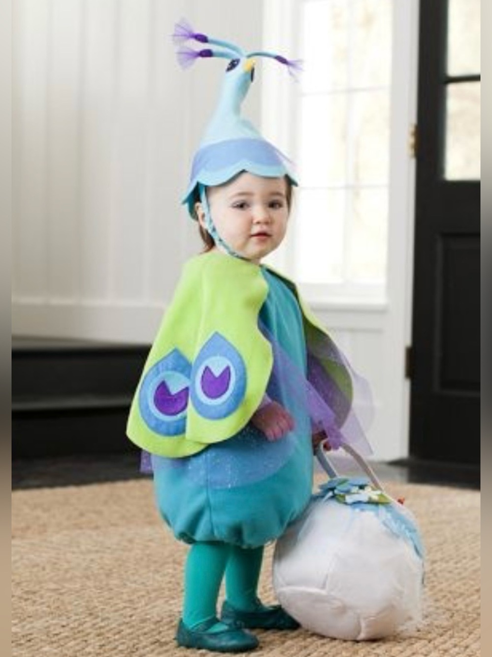 Pottery Barn Kids Peacock Costume